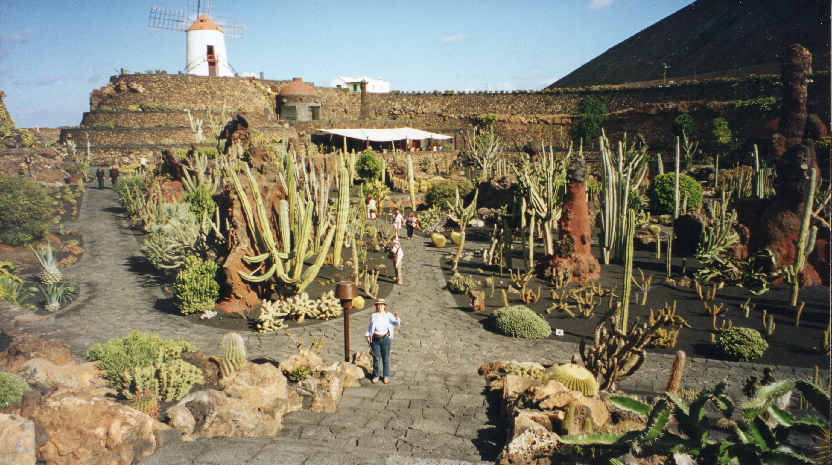 Jardin de Cactus