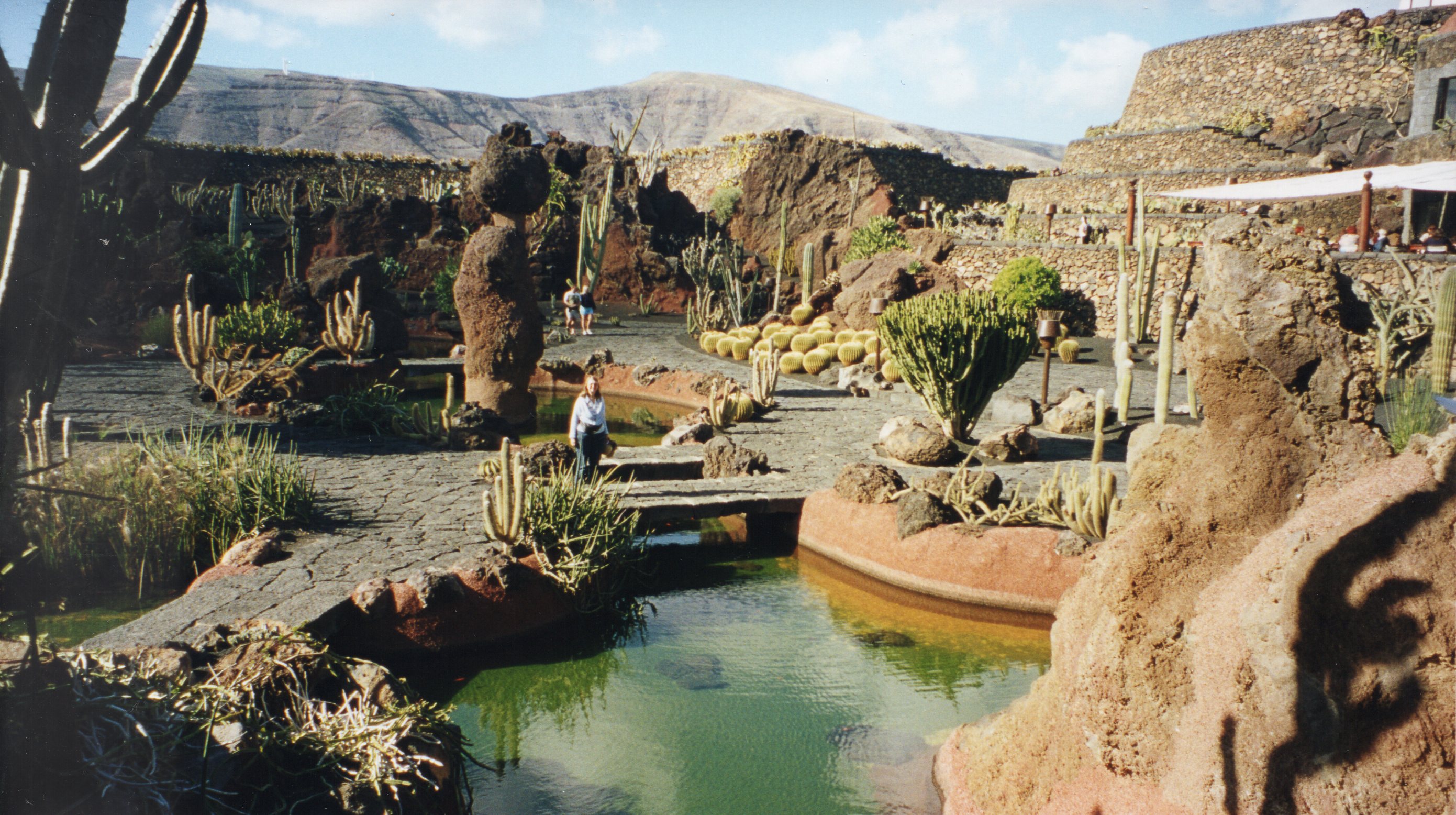 Jardin de Cactus