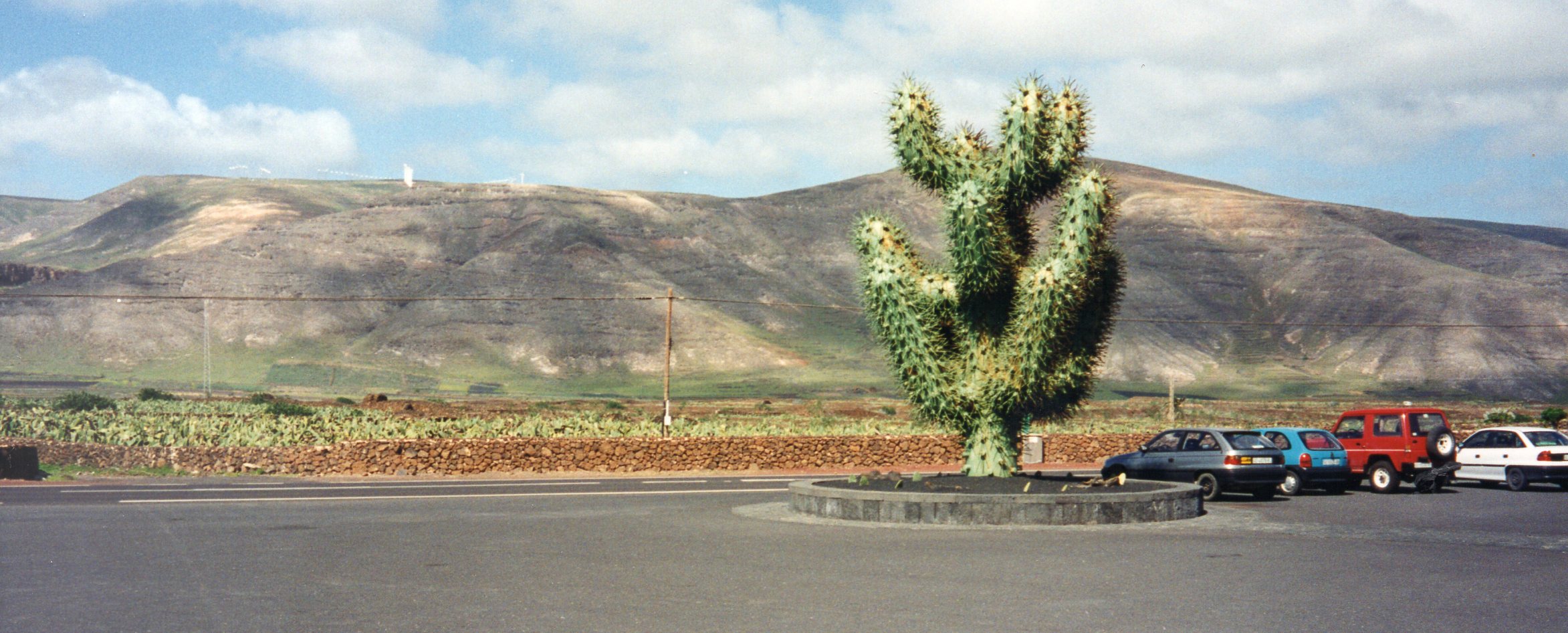 Jardin de Cactus